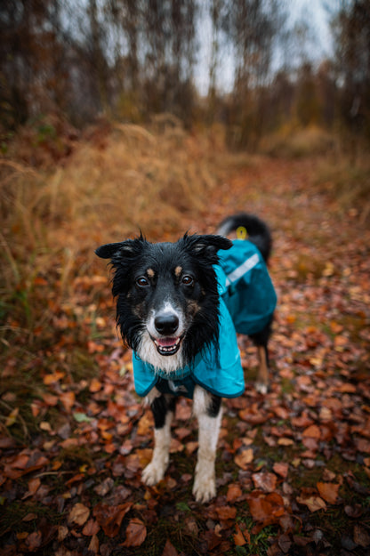 Fjord raincoat 2.0 全天候型ドッグレインコート