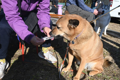 ワンブレイク（WAN BREAK）犬用エナジージェル7本セット【即日配送】