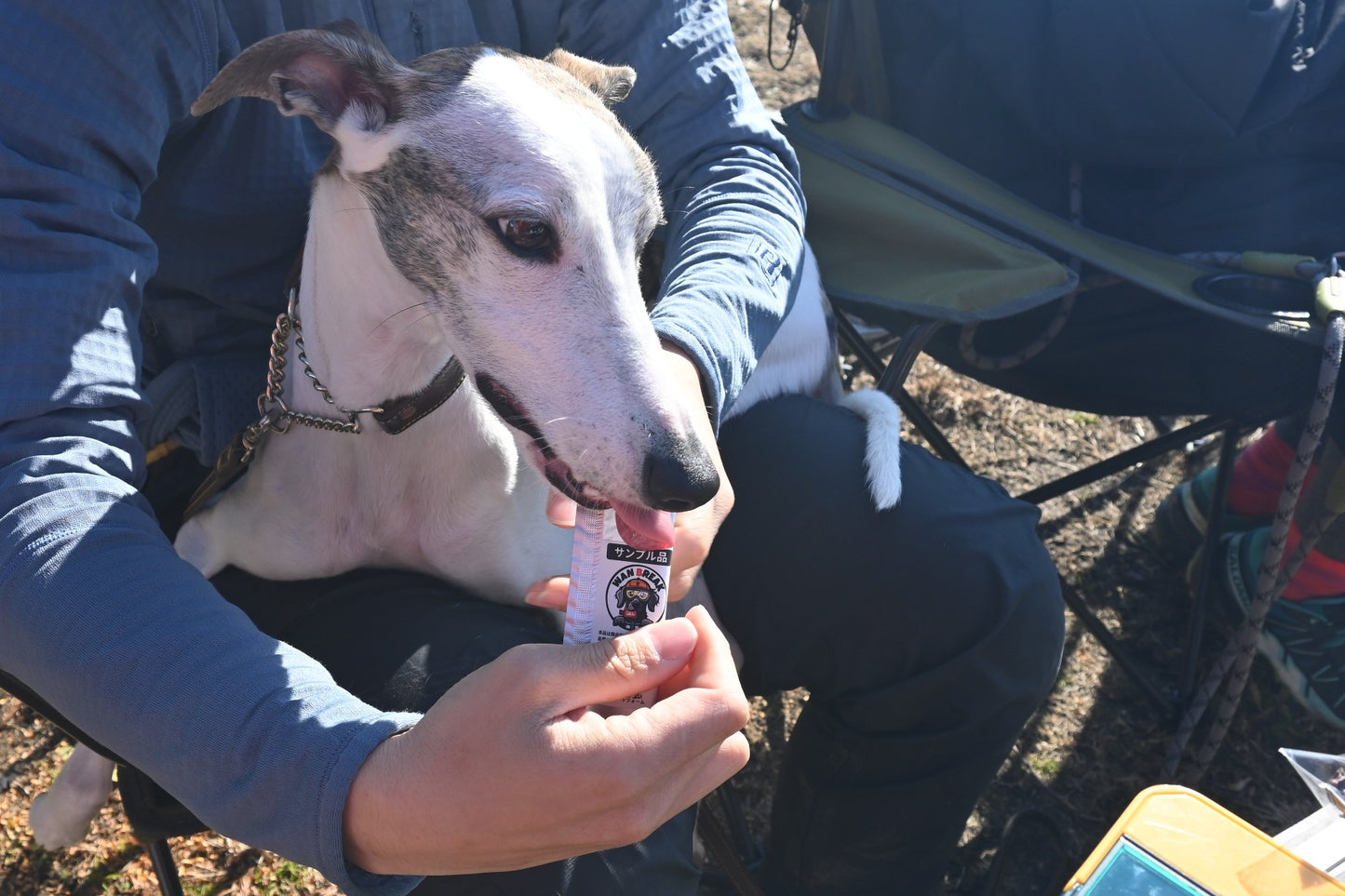 ワンブレイク（WAN BREAK）犬用エナジージェル7本セット【即日配送】