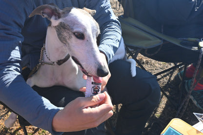 ワンブレイク（WAN BREAK）犬用エナジージェル7本セット【即日配送】