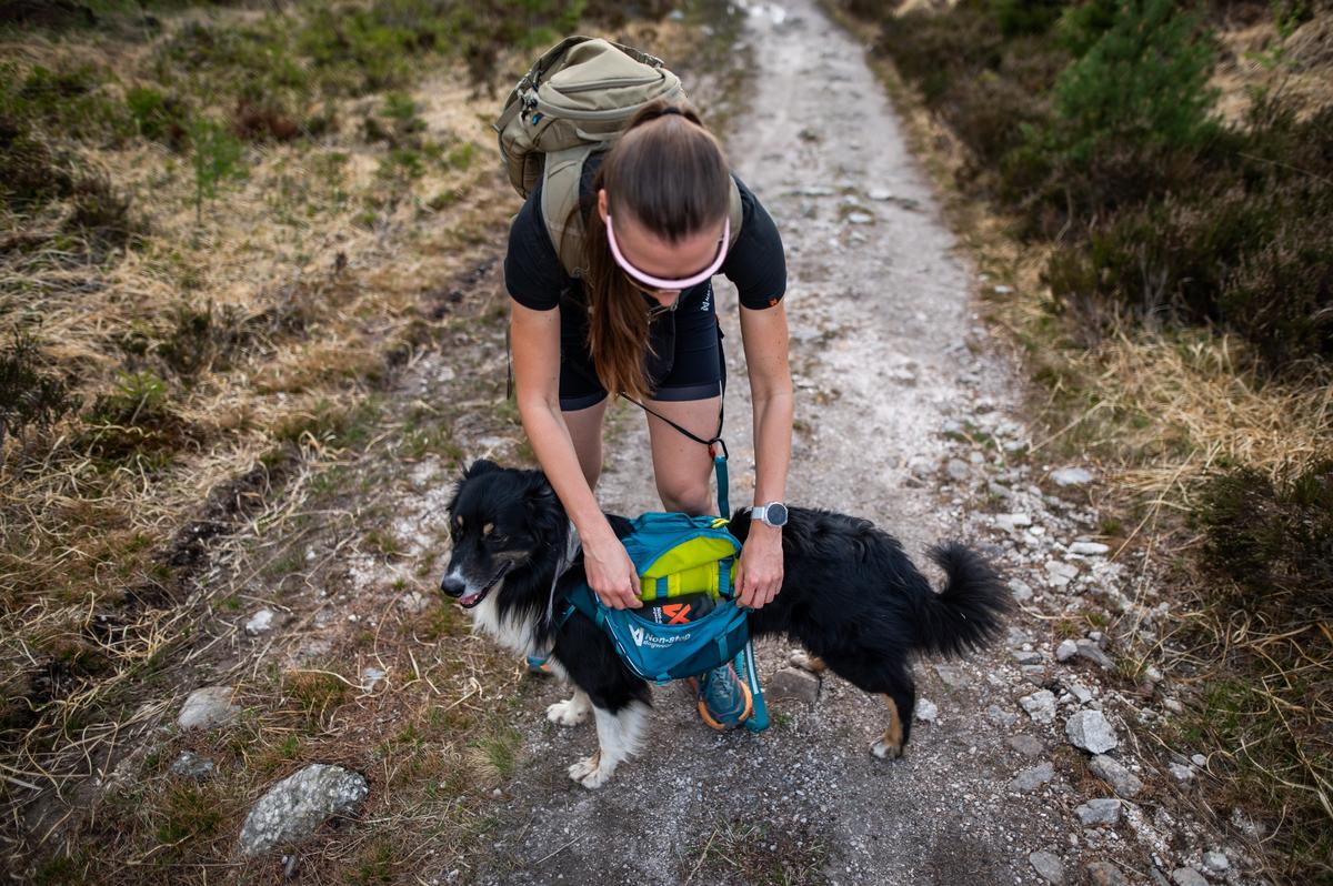 Trail quest dog backpack 犬用 本格アウトドアバックパック