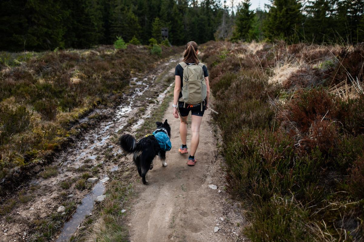 Trail quest dog backpack 犬用 本格アウトドアバックパック