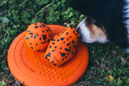 Dog ball ドッグボール