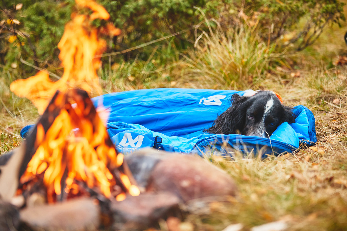 Ly sleeping bag キャンプ犬用寝袋