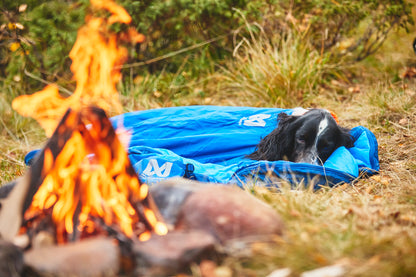 Ly sleeping bag キャンプ犬用寝袋