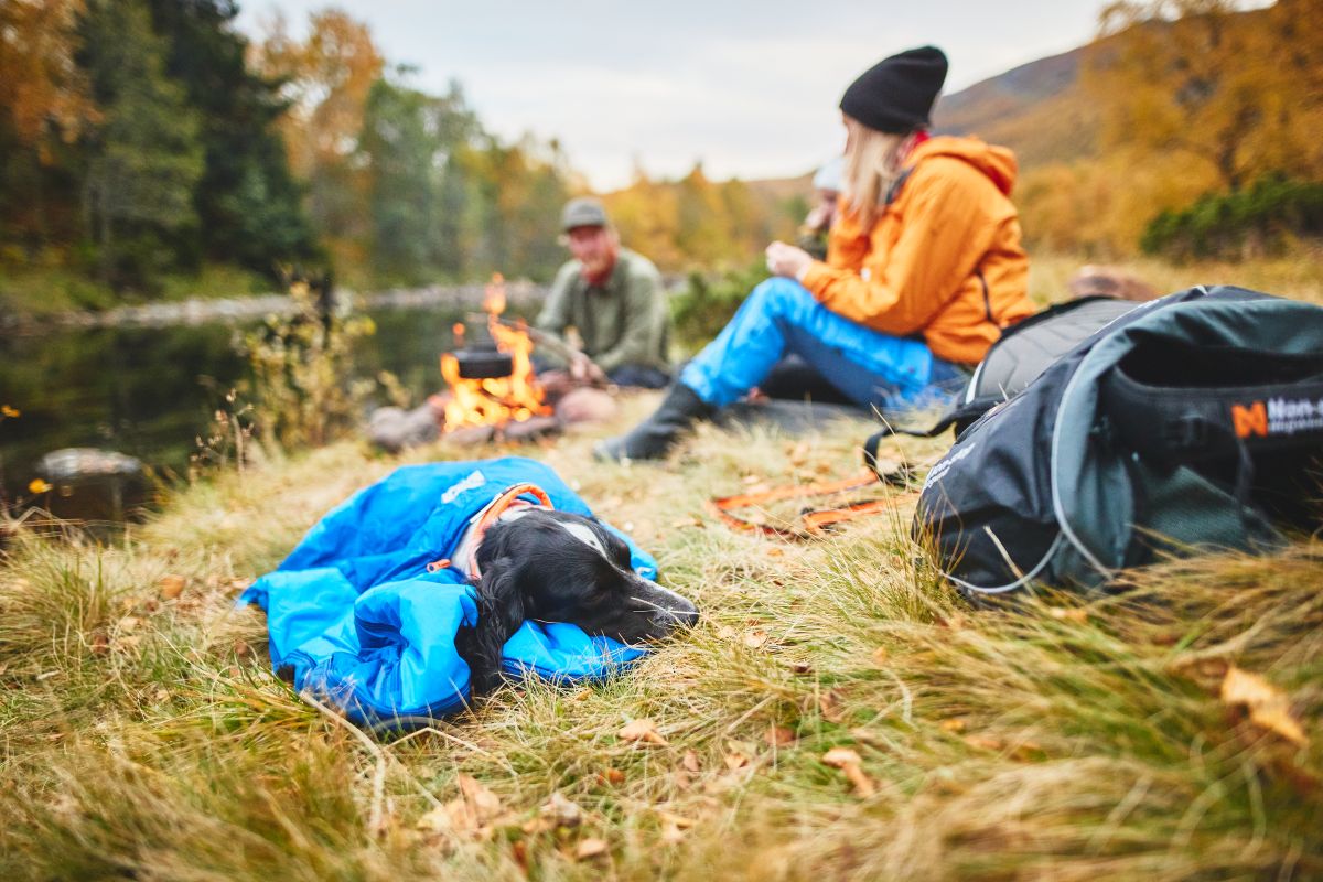 Ly sleeping bag キャンプ犬用寝袋