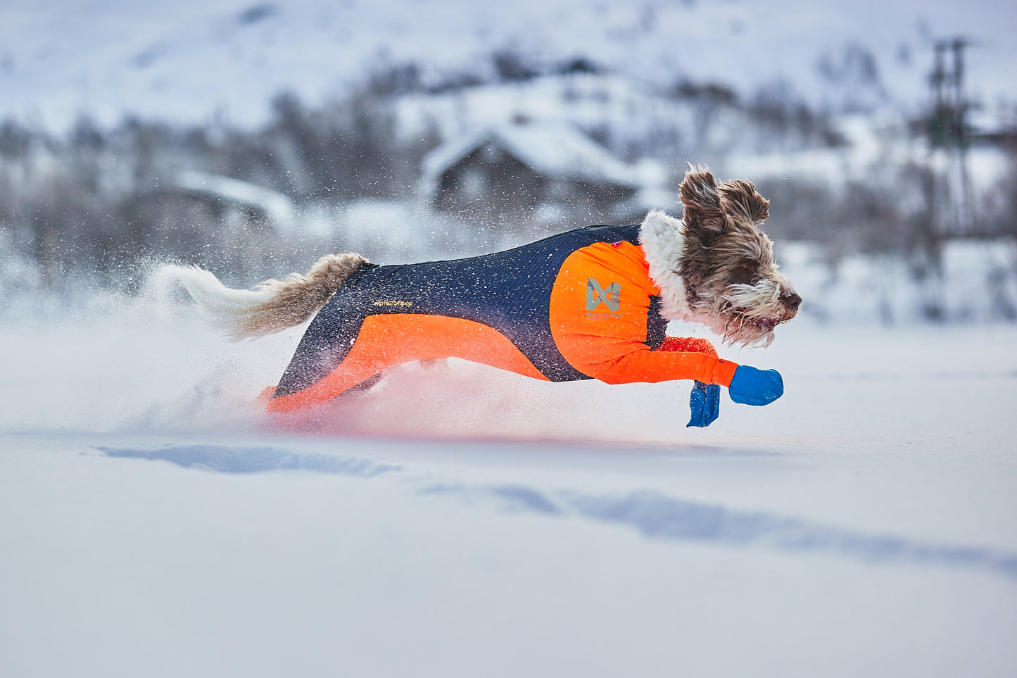 Protector snow 犬用スノーウエア