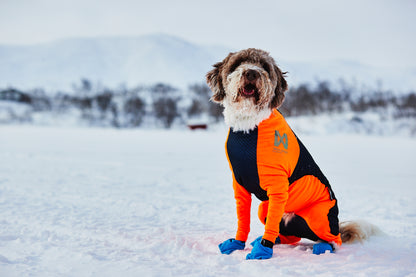 Protector snow 犬用スノーウエア