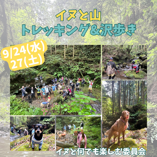 イヌと山 トレッキング&沢歩き9/24(水) 9/27(土)