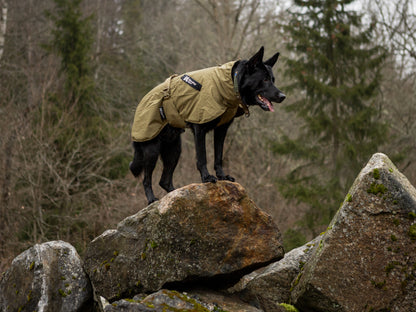 Fjord raincoat WD 作業犬用のレインコート