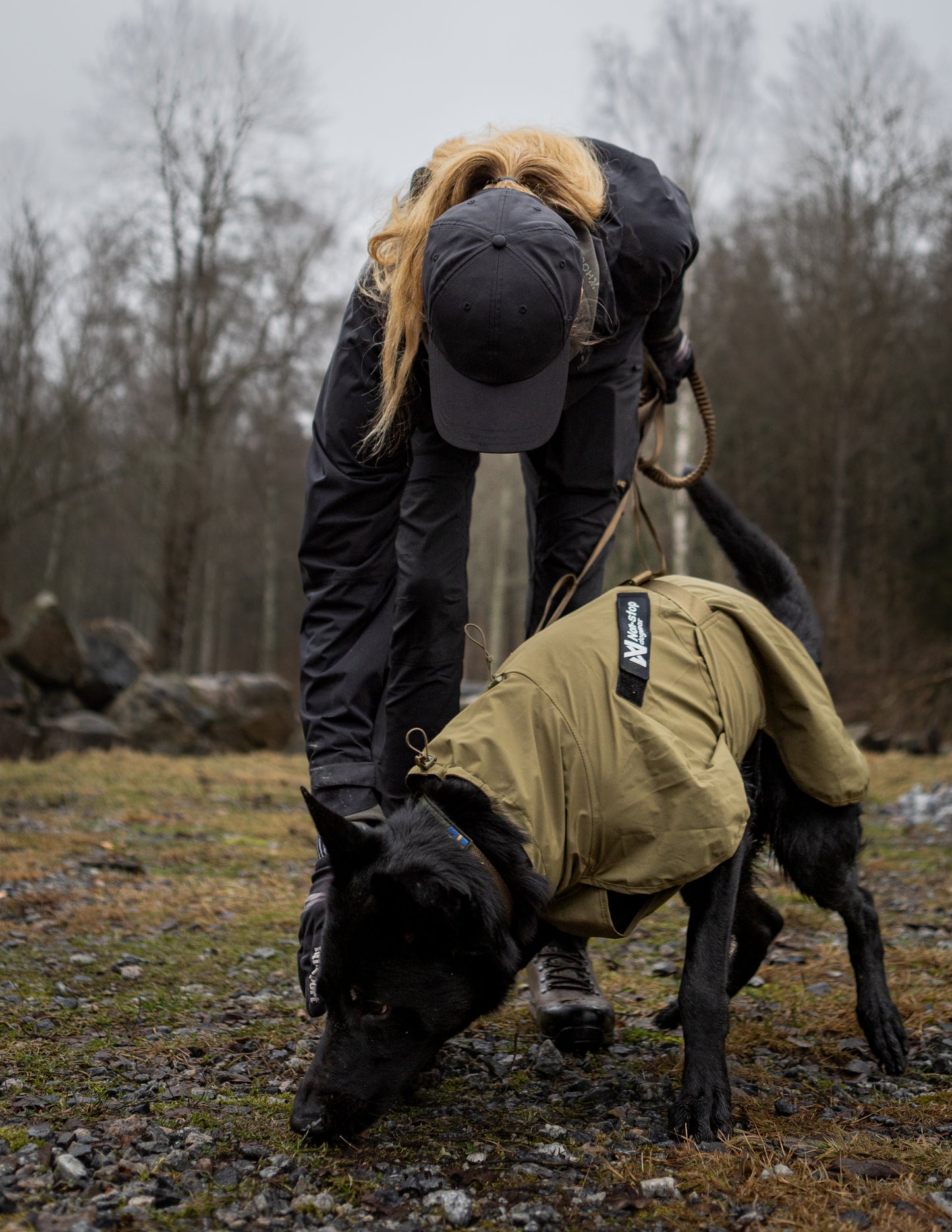 Fjord raincoat WD 作業犬用のレインコート