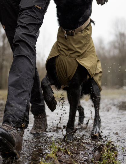 Fjord raincoat WD 作業犬用のレインコート
