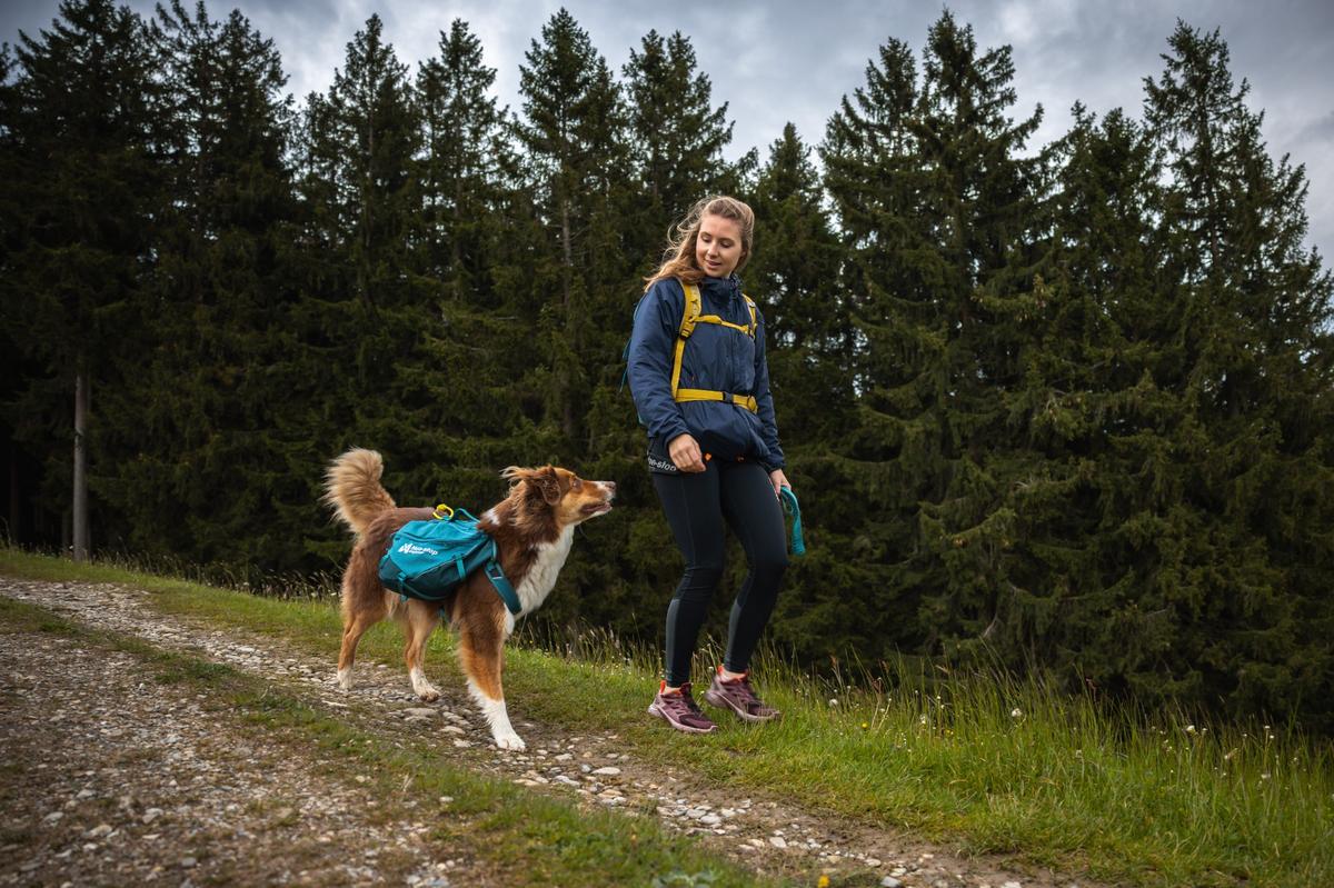 Trail quest dog backpack 犬用 本格アウトドアバックパック