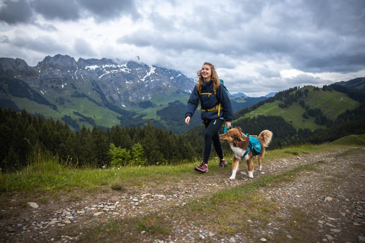 Trail quest dog backpack 犬用 本格アウトドアバックパック