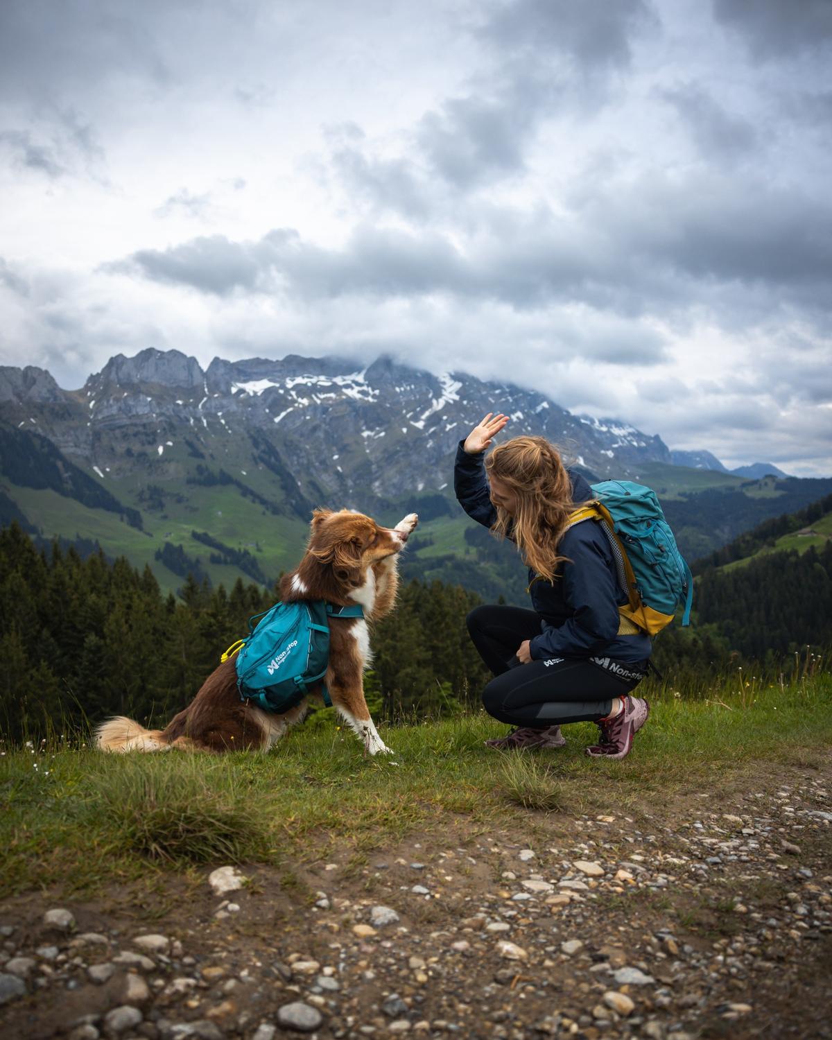 Trail quest dog backpack 犬用 本格アウトドアバックパック