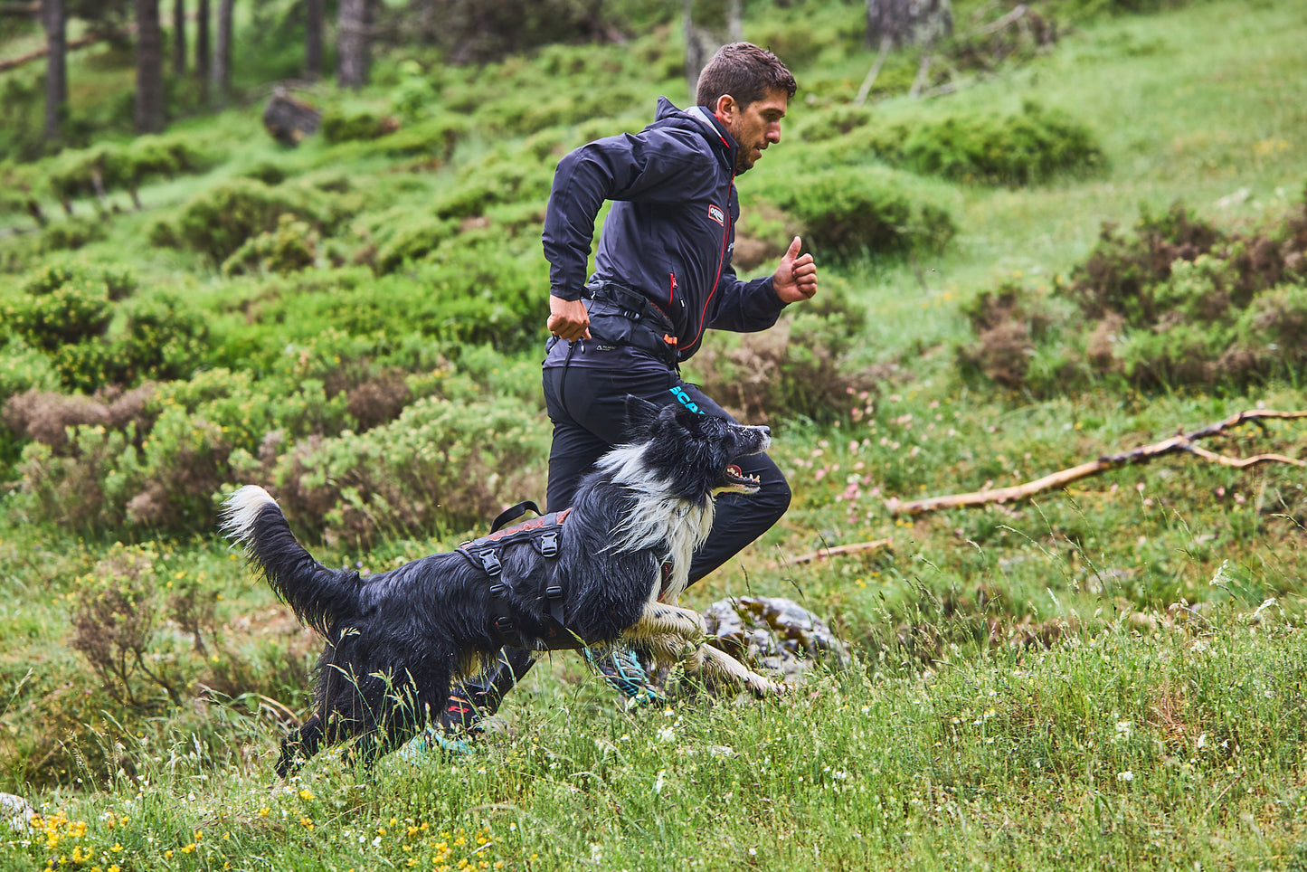 Rock harness long 引っ張り対応 通気性抜群 ロングハーネス 登山
