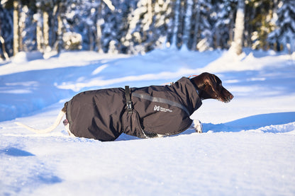 Trekking insulated dog jacket 犬用トレッキングジャケット