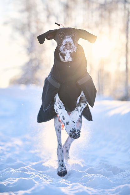 Trekking insulated dog jacket 犬用トレッキングジャケット