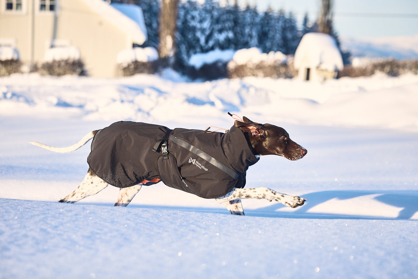 Trekking insulated dog jacket 犬用トレッキングジャケット