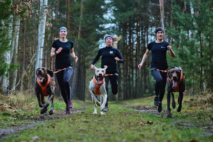 犬用ハーネス 犬の引く力を活かすドッグスポーツ用ハーネス Freemotion Harness 5.0