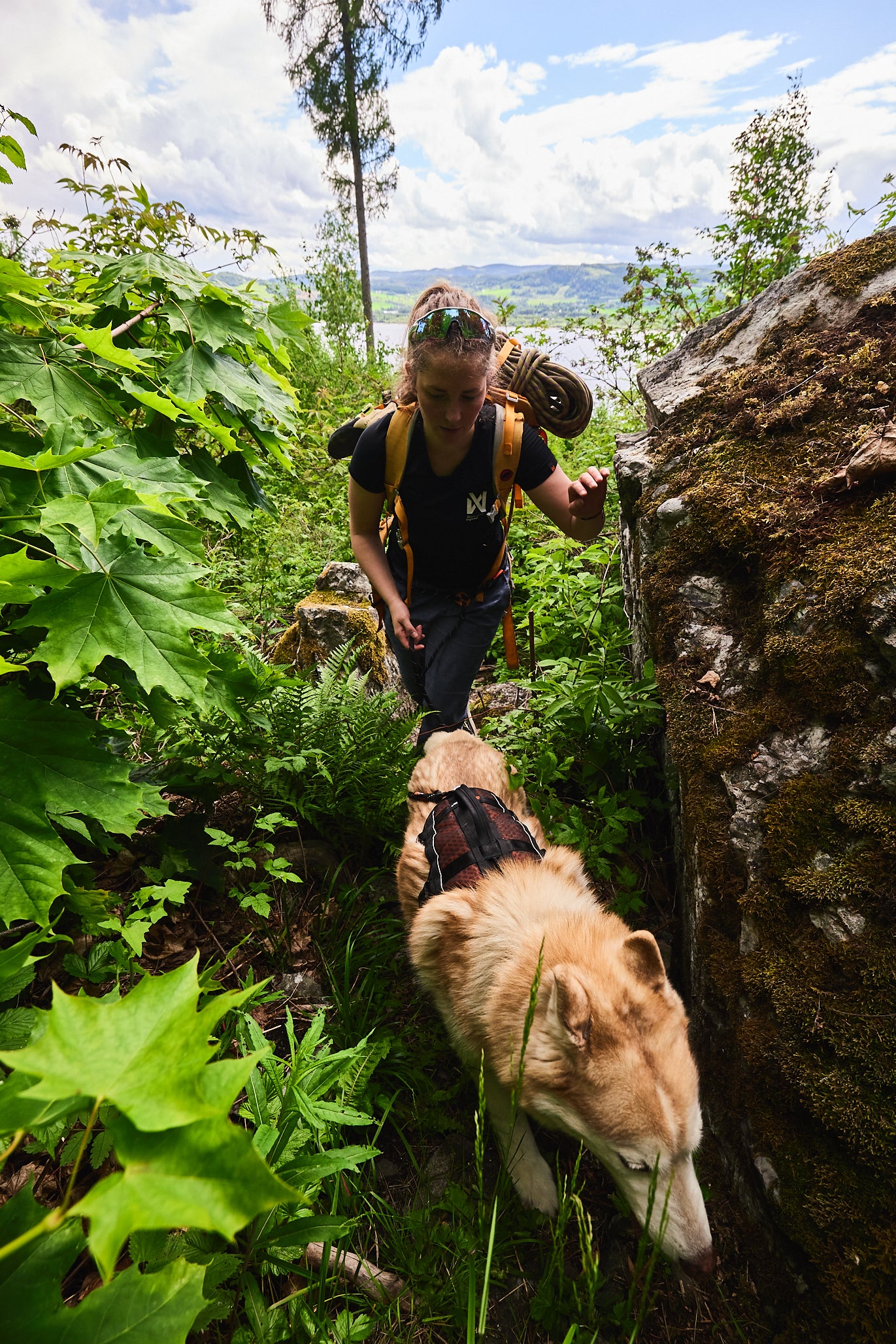 Rock harness long 引っ張り対応 通気性抜群 ロングハーネス 登山