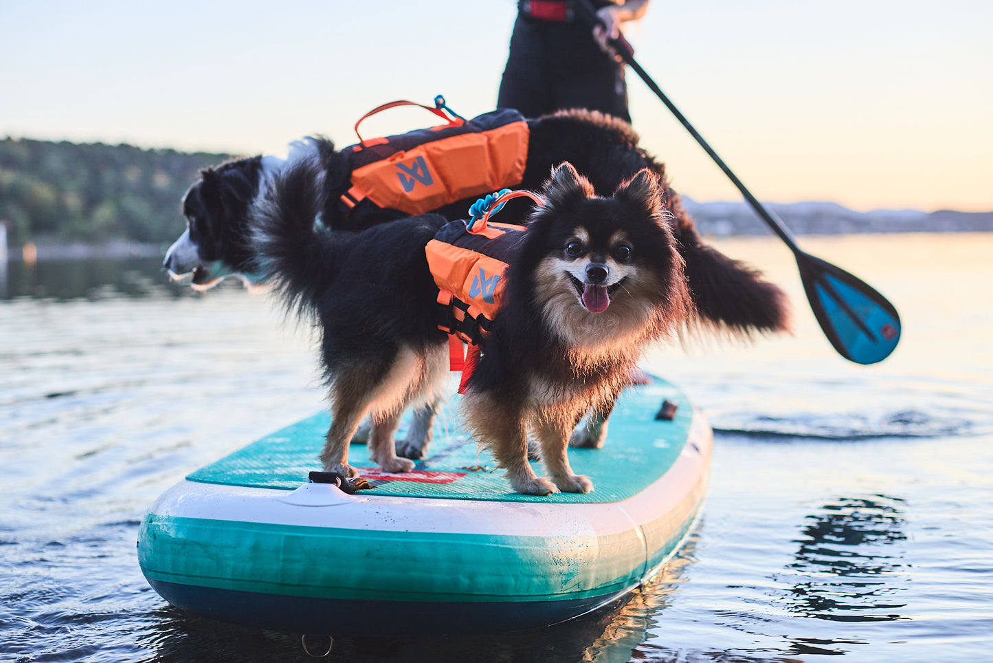 Protector life jacket 高品質ライフジャケット