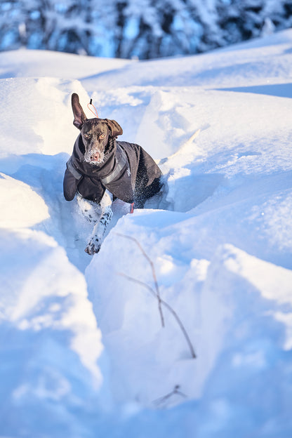 Trekking insulated dog jacket 犬用トレッキングジャケット