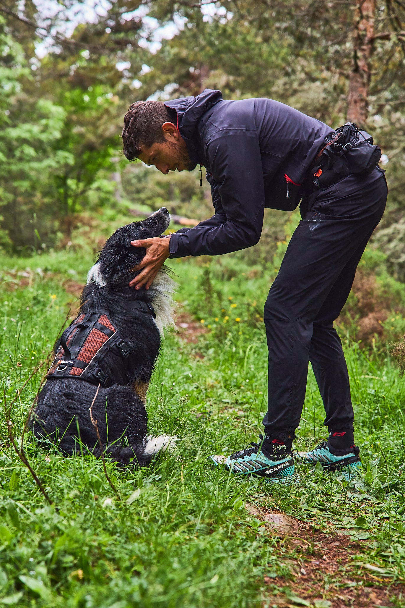 Rock harness long 引っ張り対応 通気性抜群 ロングハーネス 登山