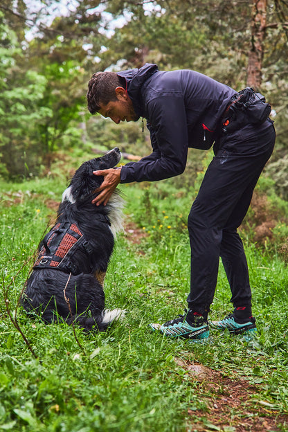 Rock harness long 引っ張り対応 通気性抜群 ロングハーネス 登山