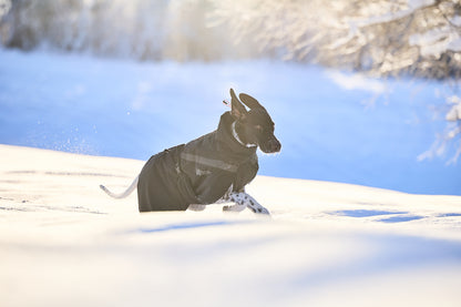 Trekking insulated dog jacket 犬用トレッキングジャケット