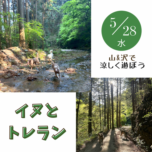 イヌと山&沢で遊ぼうトレラン 5/28(水)