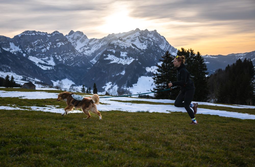 Trail light dog backpack 犬用登山リュック