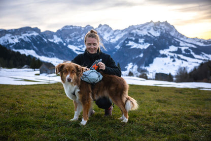 Trail light dog backpack 犬用登山リュック