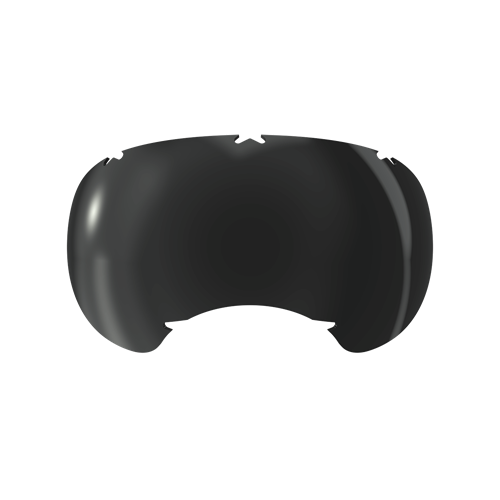 REX SPECS Goggles V2 交換レンズ 雪紫外線対策 【即日配送】