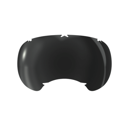 REX SPECS Goggles V2 交換レンズ 雪紫外線対策 【即日配送】