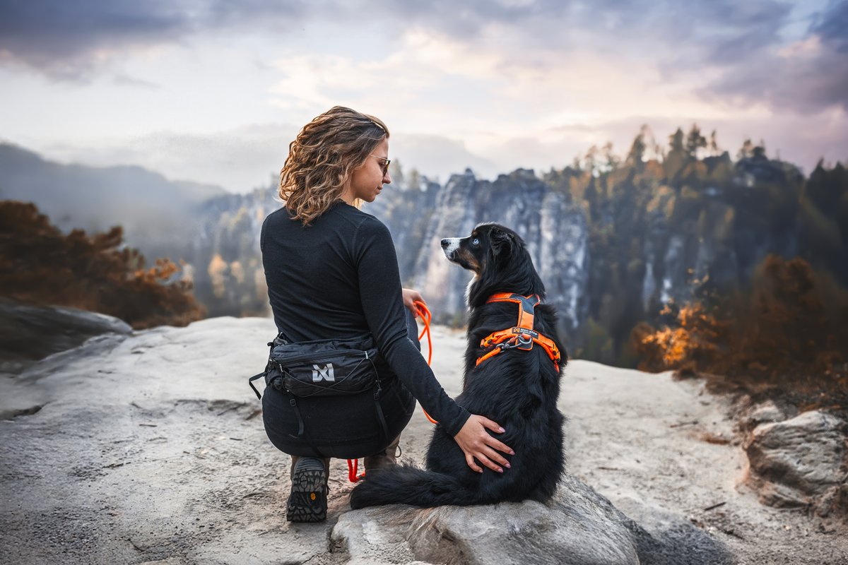 毎日の散歩に高耐久リード Trekking rope leash