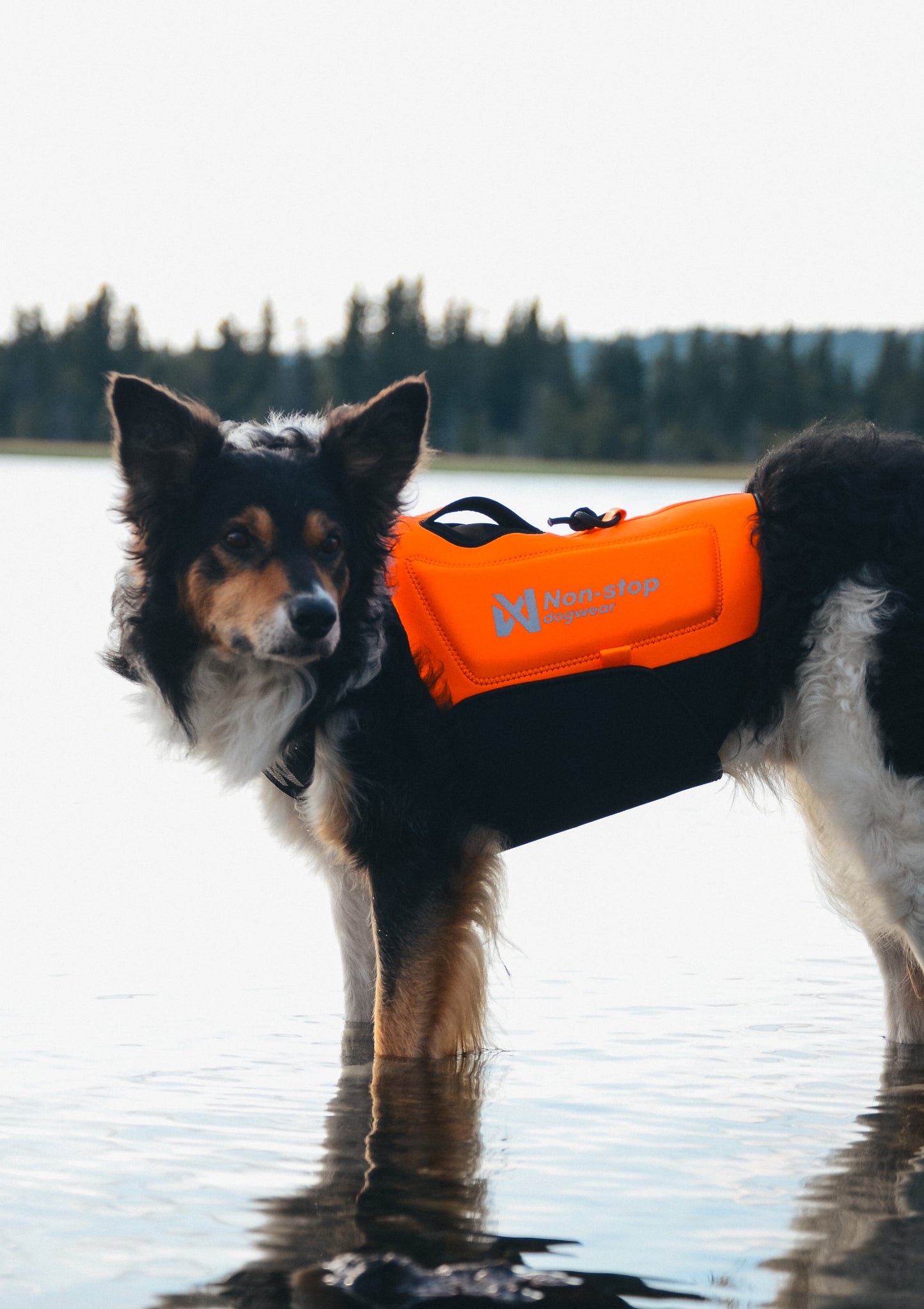 Protector neoprene vest 冷え対応・高保温のプロ仕様ネオプレーンベスト