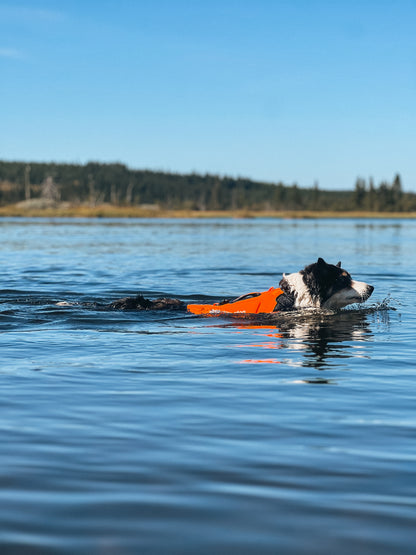 Protector neoprene vest 冷え対応・高保温のプロ仕様ネオプレーンベスト