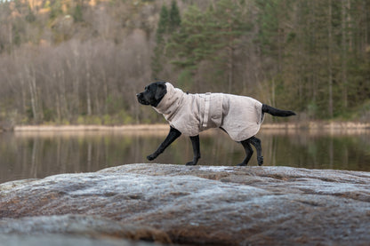 Drying coat 犬用タオルバスローブ