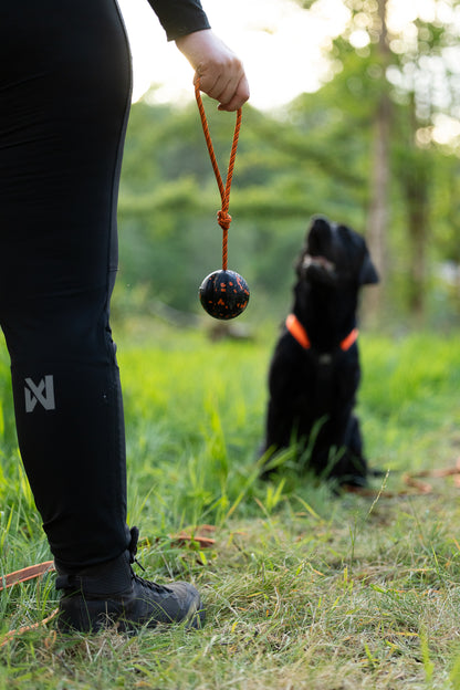 Dog ball on rope 耐久性のあるロープ付きおもちゃ