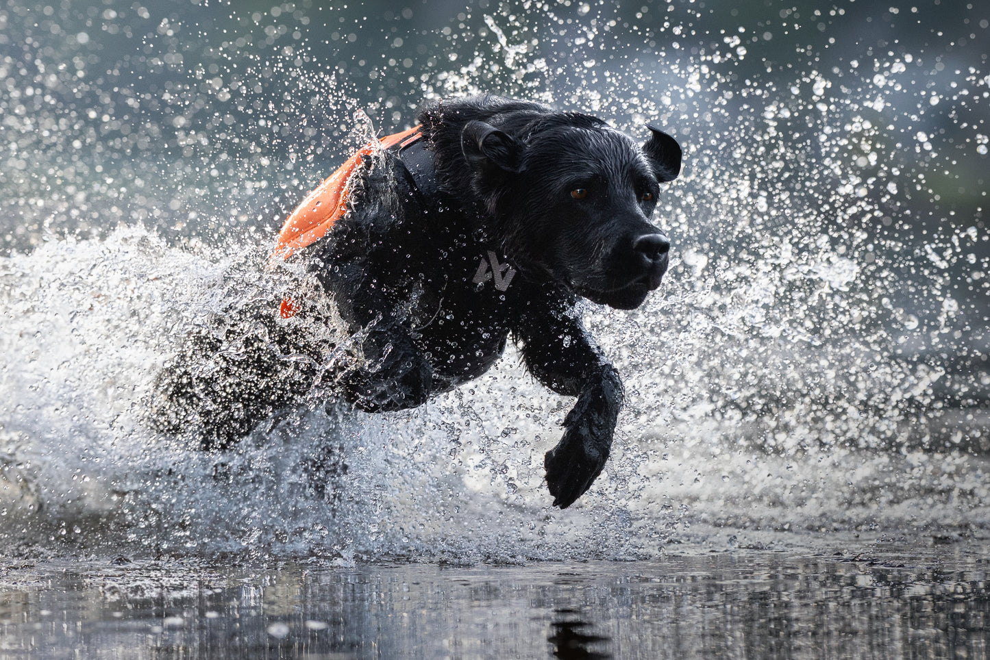 Protector neoprene vest 冷え対応・高保温のプロ仕様ネオプレーンベスト