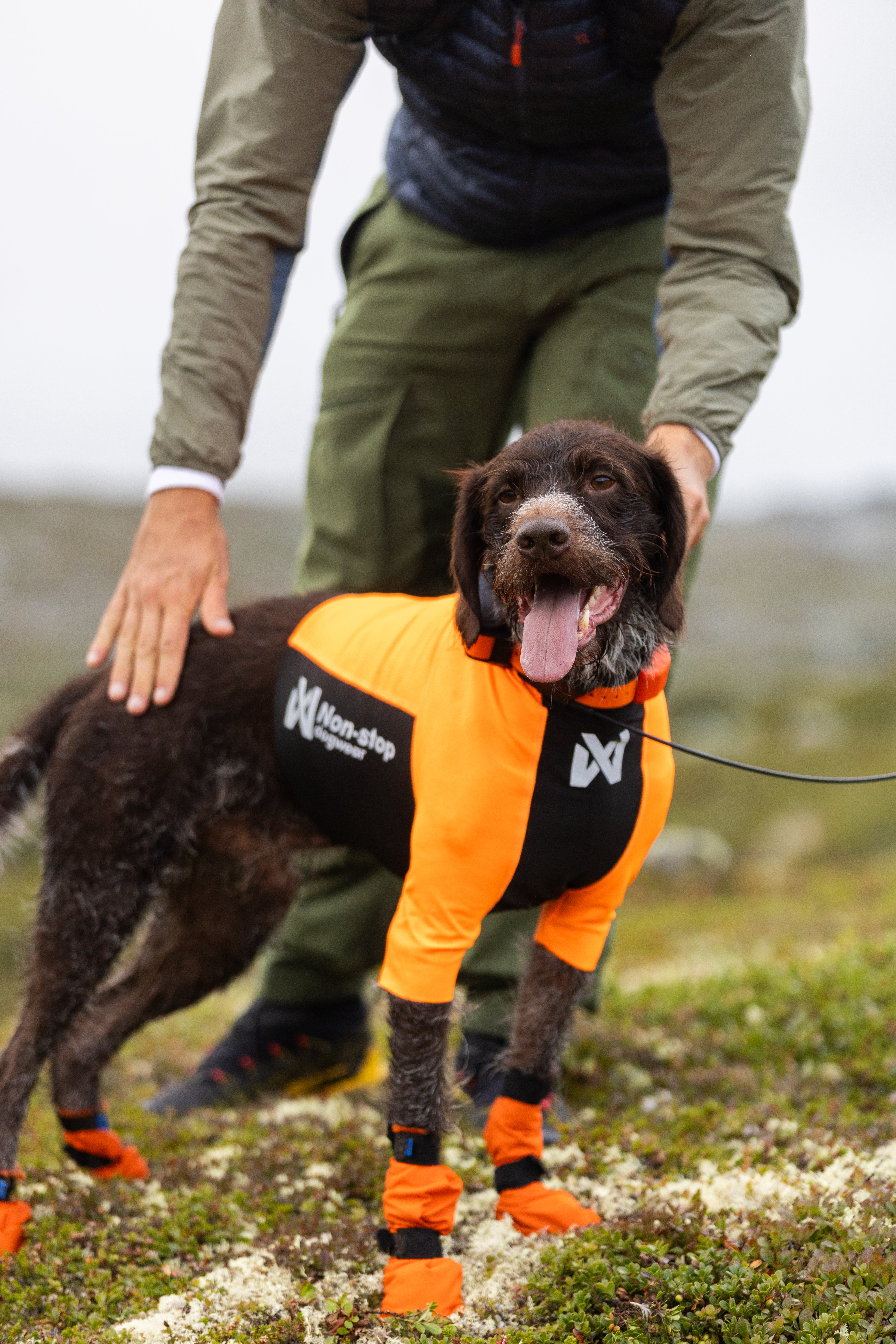 JACKETS – イヌと何でも楽しむ委員会 | カニクロス用品専門店