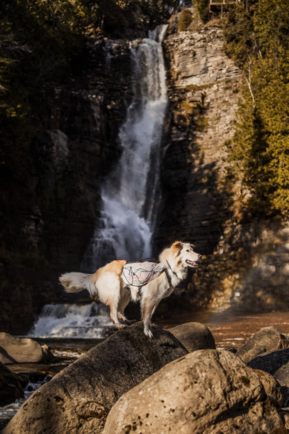 Trail light dog backpack 犬用登山リュック