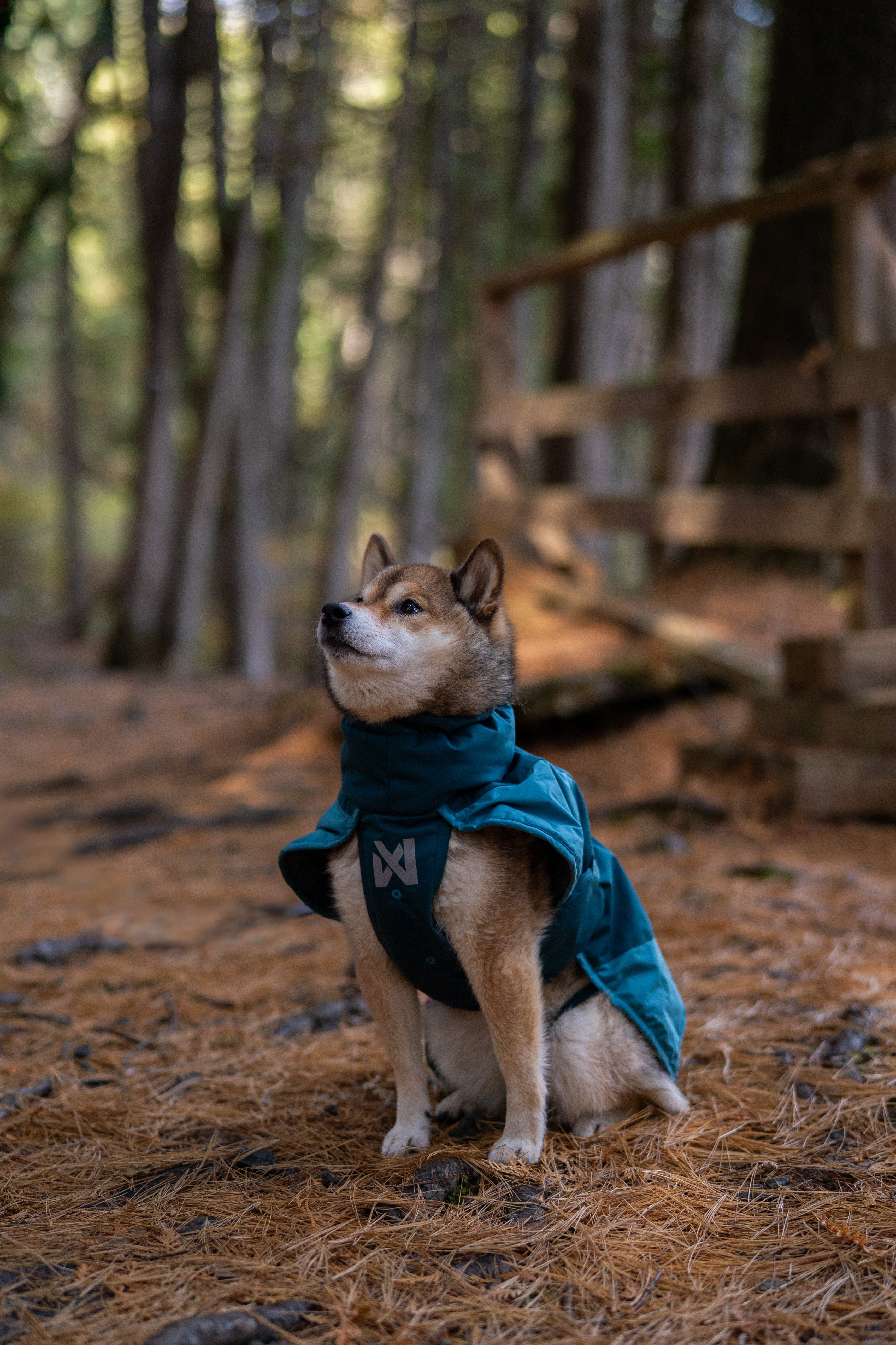 Glacier jacket 3.0 寒さや雨でも動きを妨げない、アクティブドッグの