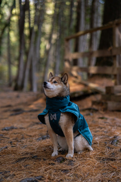 Glacier jacket 3.0 寒さや雨でも動きを妨げない、アクティブドッグのための高機能防寒ジャケット