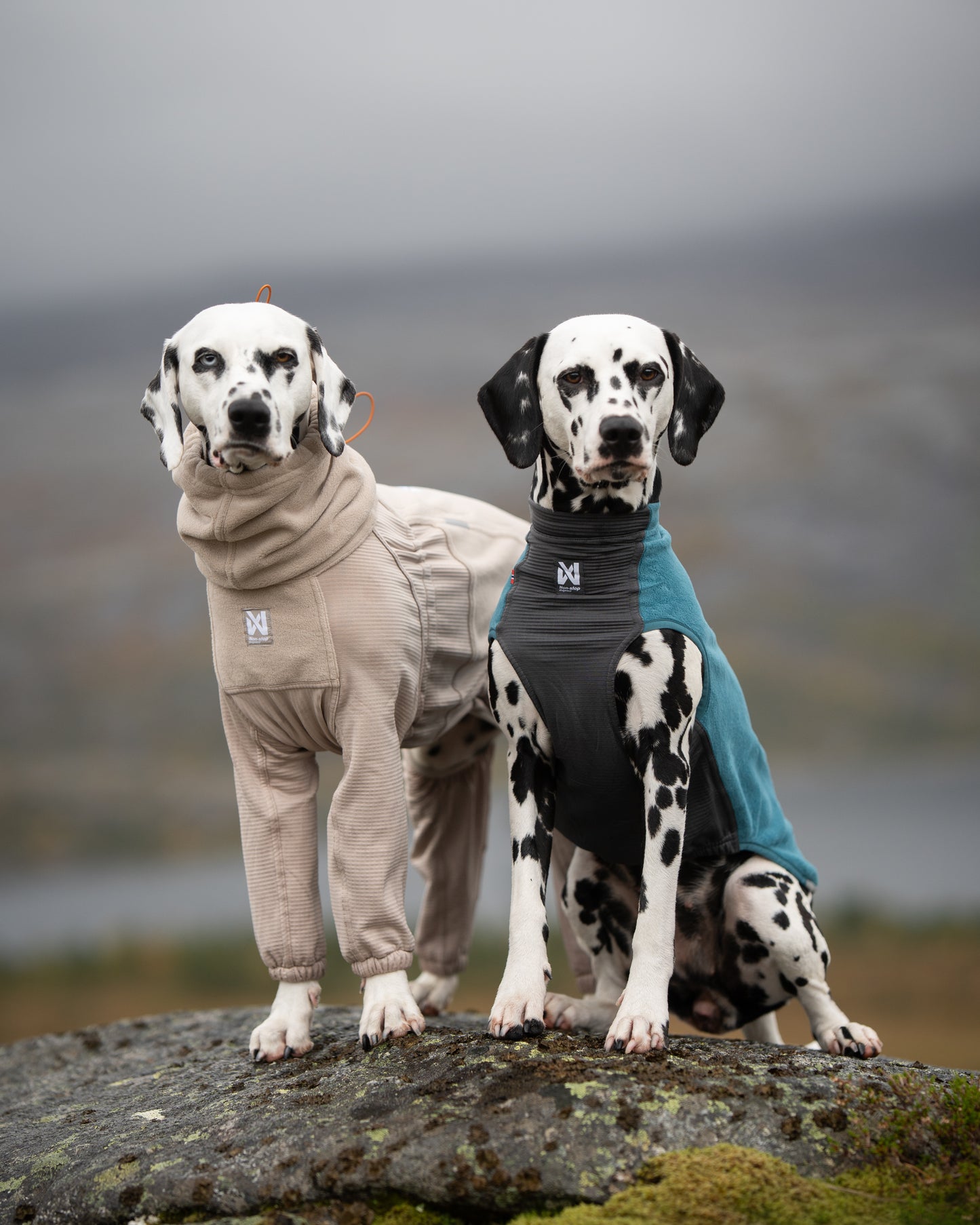 Trail quest fleece overall 寒さに強いアクティブ犬用防寒着