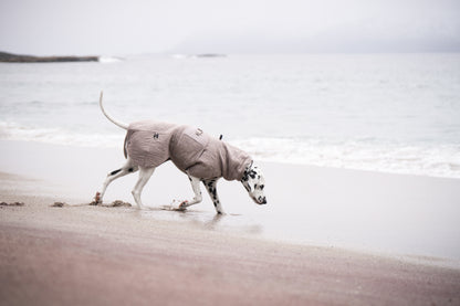 Drying coat 犬用タオルバスローブ
