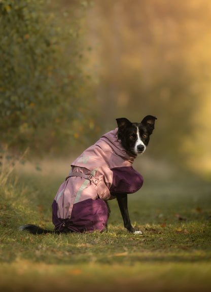 Glacier jacket 3.0 寒さや雨でも動きを妨げない、アクティブドッグのための高機能防寒ジャケット