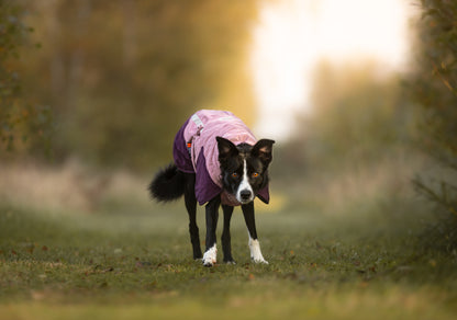 Glacier jacket 3.0 寒さや雨でも動きを妨げない、アクティブドッグのための高機能防寒ジャケット