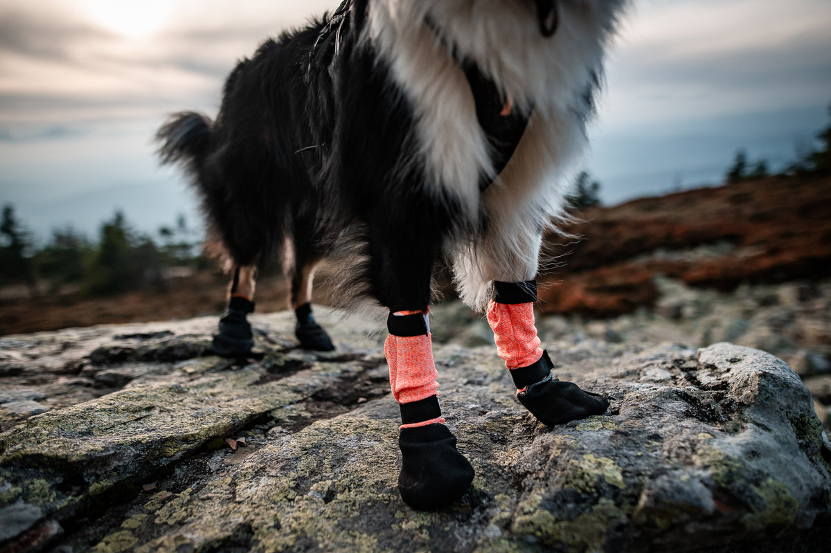 犬用ブーツ 頑丈 防水雨散歩 Protector bootie high【即日発送】